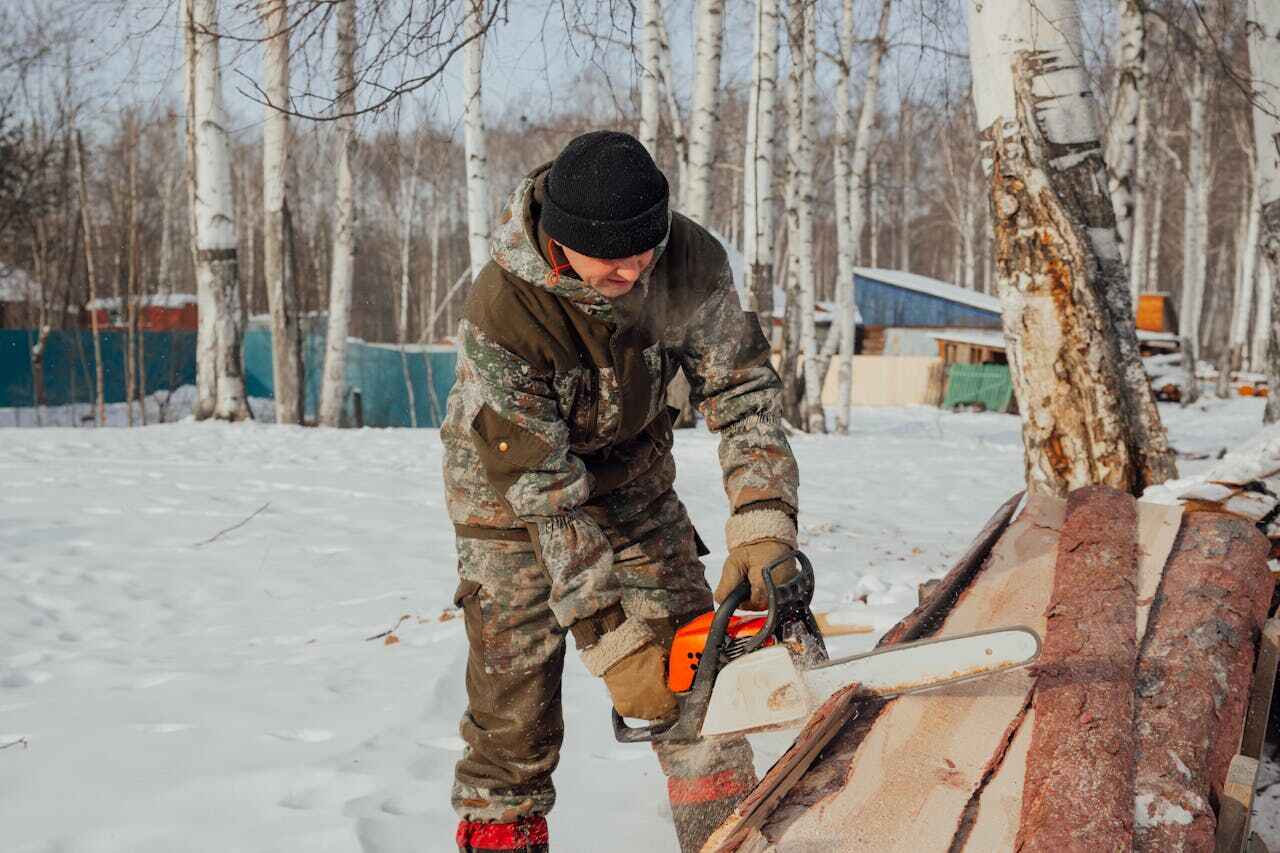 Best Palm Tree Trimming  in Liberty Corner, NJ